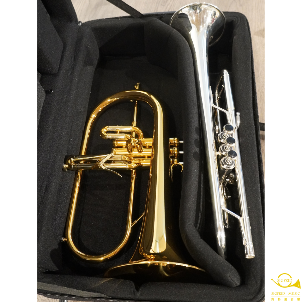 Sigfrid Fiberglass Quad Trumpet Case 齊格飛玻璃纖維四支小號號箱 齊格飛音樂