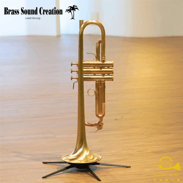 BSC Trumpet – TR2B Big Horn Bb調大號口裸銅小號