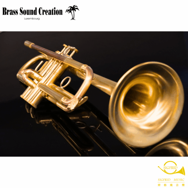 BSC Trumpet – TR2B Big Horn Bb調大號口裸銅小號