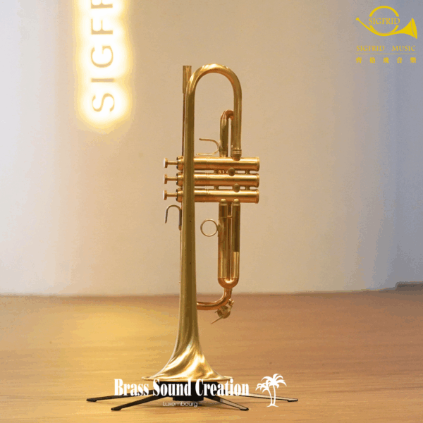 BSC Trumpet – TR2B Big Horn Bb調大號口裸銅小號