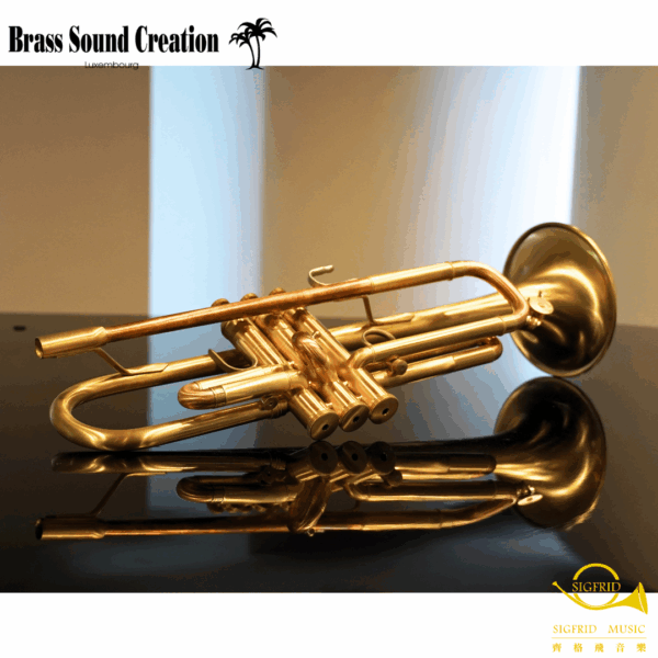 BSC Trumpet – TR2B Big Horn Bb調大號口裸銅小號