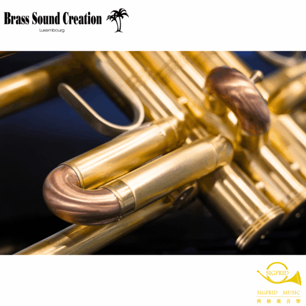 BSC Trumpet – TR2B Big Horn Bb調大號口裸銅小號
