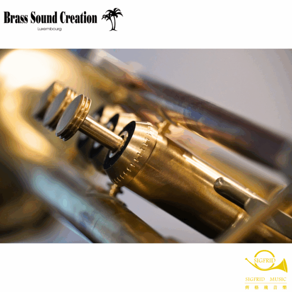 BSC Trumpet – TR2B Big Horn Bb調大號口裸銅小號