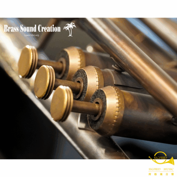 BSC Trumpet – TRM2 Be Zen Bb調黑色小號